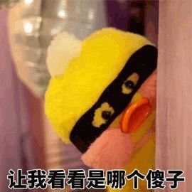 我们为啥突然停更了