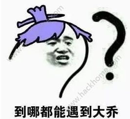 搞笑表情包下载大乔