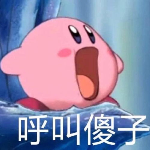 沙雕表情包来咯257