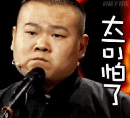 小岳岳岳云鹏,可能是相声界中表情包最多的人了
