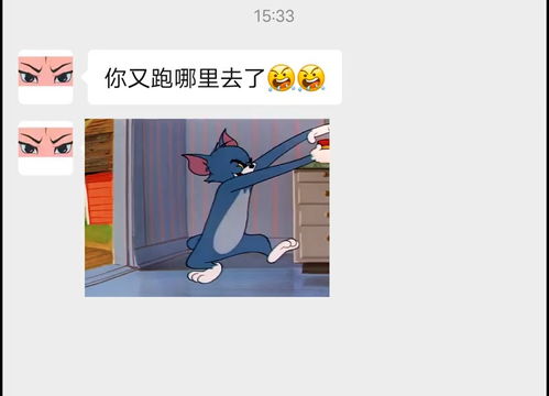 盘点甜甜的表情包下一个更精彩猫和老鼠表情包搞笑视频经典段子