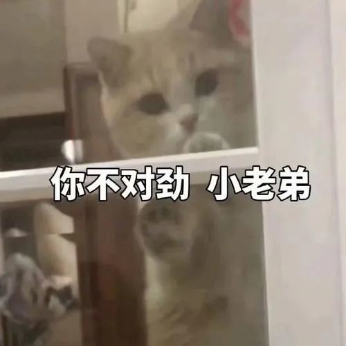 funnymoney不是有趣的钱不知道会出大事