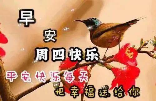 最新周四愉快早上好表情包,好好照顾自己,记得吃早餐