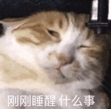 表情听说有人打篮球缺人沙雕表情包