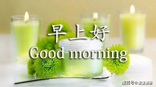 5月19日初夏群发微信朋友们早上好问候语图片动态的表情图片早晨问候句子