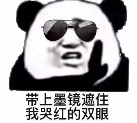 熊猫头表情包i能带上年幼的我吗