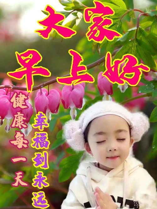 2021年2月24日正月十三清晨早上好问候祝福动态表情图片周三最新早安问候祝福图片带字温馨