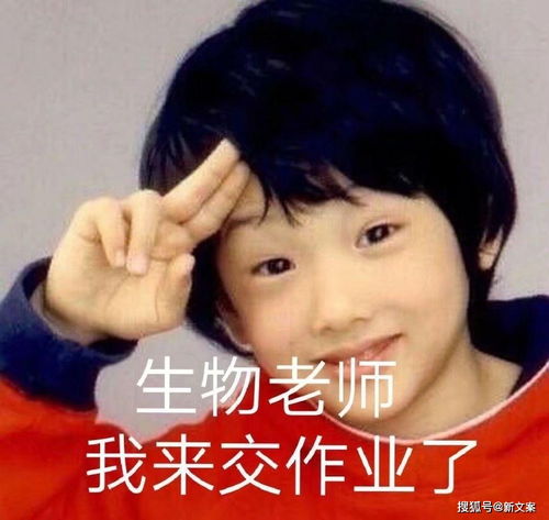 你和最熟的老师能熟到什么程度哈哈哈,真的好玩死了