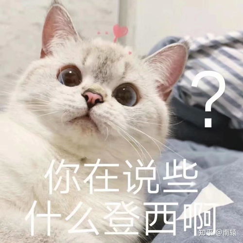 为什么找到真爱的概率那么低,现实中又会有很多情侣