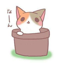 猫头像可爱卡通二次元