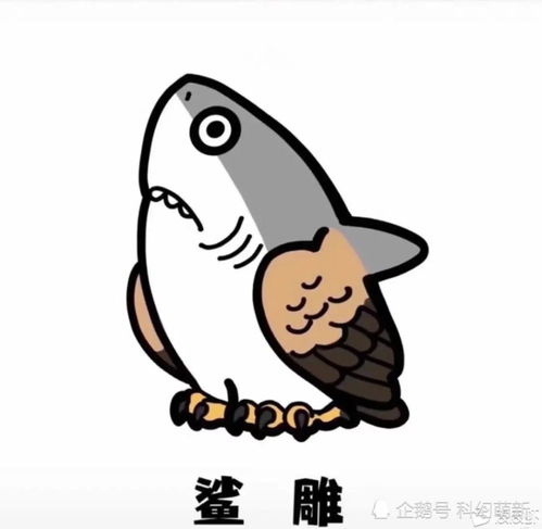搞笑表情包一组每日一笑