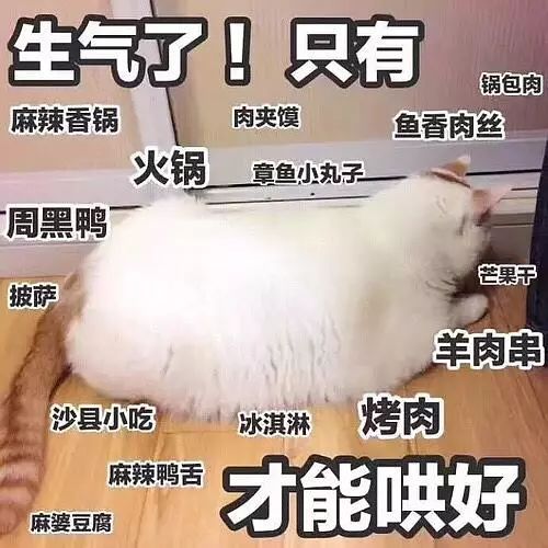 那些支撑我活下去的表情包