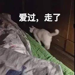 搞笑表情包给你惊喜