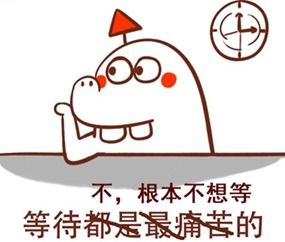 你家这位可以和我儿子定亲医生花式暗示胎儿性别,太有趣,你听懂了吗