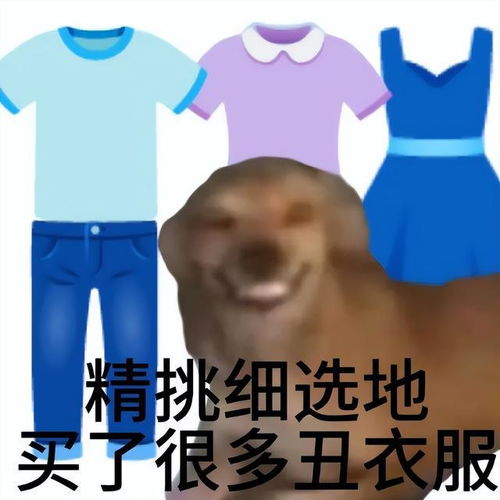 小猴子祷告表情包