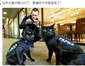 搞笑段子我睡一觉醒来怎么就要火了,这是什么情况