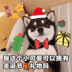 搞笑她沉默半天才说当年没见识,那些名牌都不认得