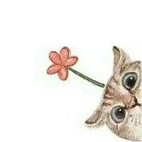 可爱头像猫咪卡通可爱猫咪萌萌哒头像