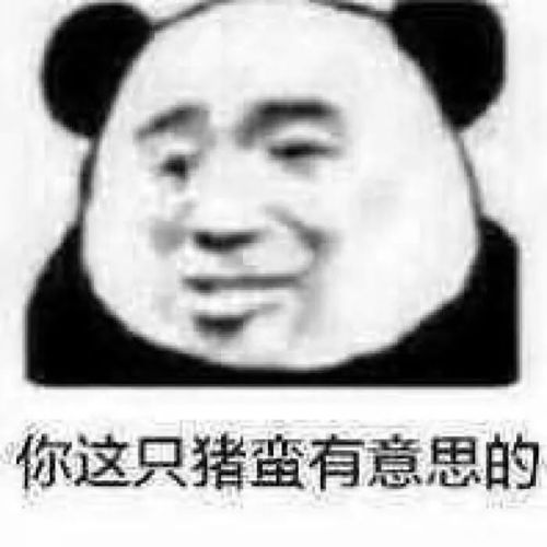 沙雕表情包做猪呢主要是开心