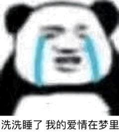 适合单身狗发的520搞笑表情包你有你的520,我有我的502