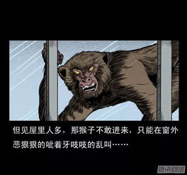 猴子可爱卡通头像耍猴