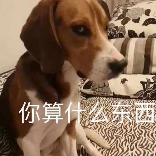 表情包可爱搞怪表情包32张