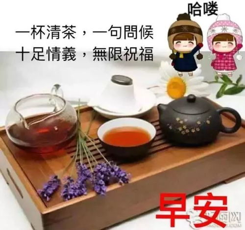 真人搞笑微信动态表情祝福语