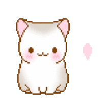 猫猫动图gif表情包