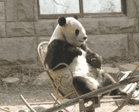 表情包动图搞笑无奈摇椅