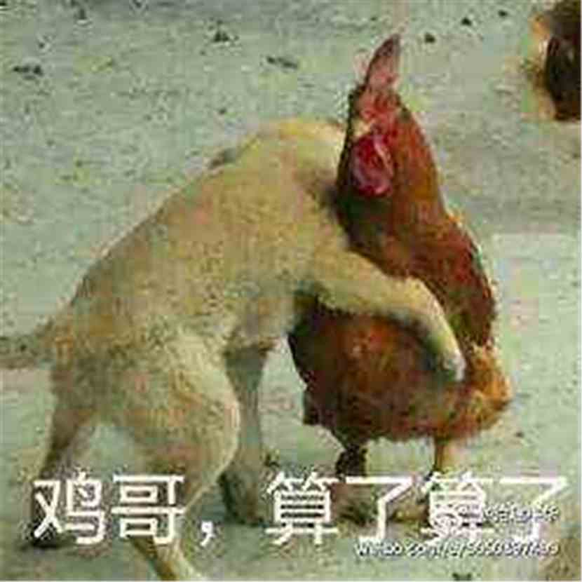 第47章算了算了在柯南里选择当渣男