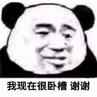 实用的熊猫头搞笑表情包我现在很卧槽谢谢