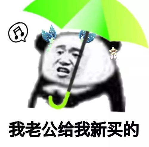 斗图表情包搞笑图片熊猫
