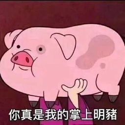 2019猪年表情包微信猪年拜年可爱表情包图片汇总
