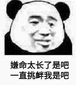 中国熊猫搞笑表情包