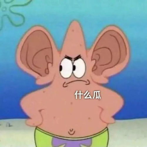 表情包今日份表情包