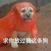 我真的是太喜欢这种沙雕表情包了沙雕头像微信头像图片大全