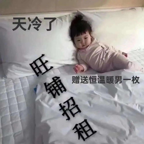 你有没有那种图片