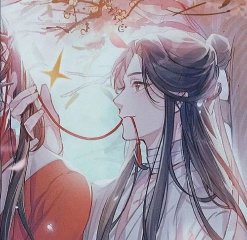 天官赐福情头专辑