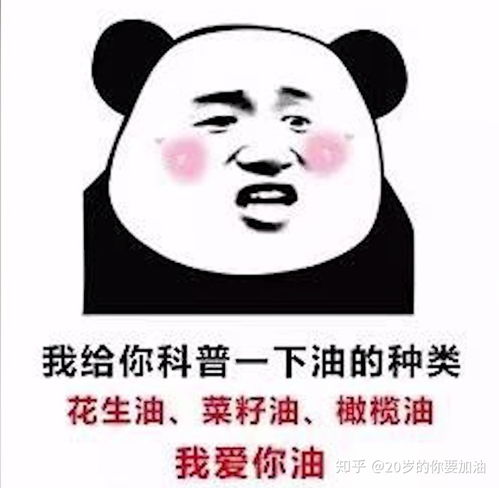 b站coderwhy老师半佛老师b站视频表情包整理