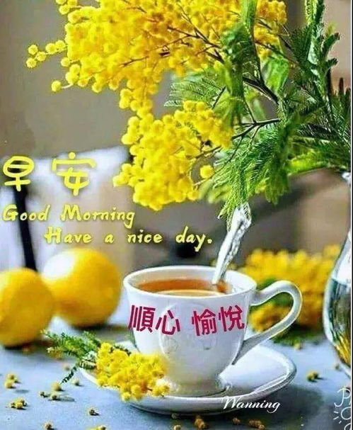 2月22日朋友圈最新版清晨祝福语图片带表情早安唯美动画表情动态图片