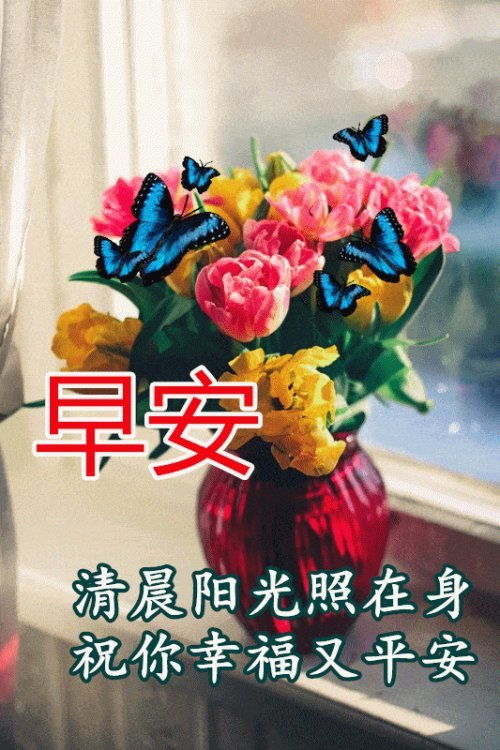 温馨的早安问候语,早上好动态表情图片大全,早晨好动图美图大全