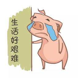 你在工作中遇到哪些难忘的事