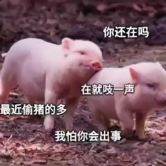 巨沙雕超级搞笑的表情包,这沙雕表情有毒吧,太有趣了