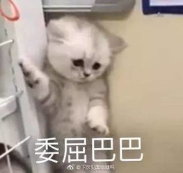 我真人素颜6分,可拍照p图后,却只剩了3分...