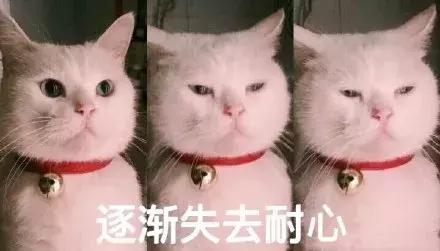 搞笑的动态表情包我是骗子