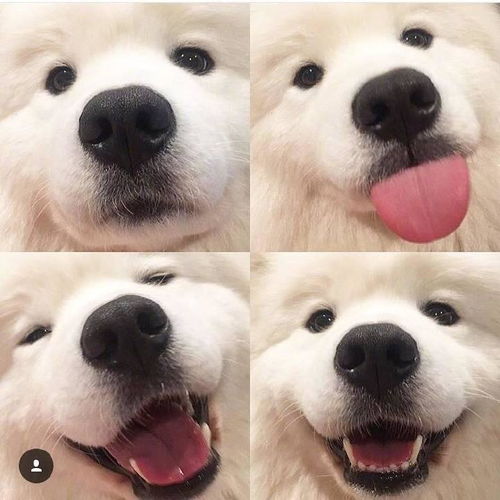 我的收藏夹