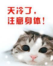 冷的表情包搞笑图片降温