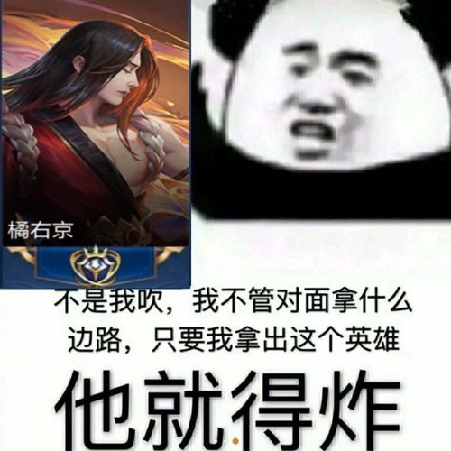 表情包只要我拿出这个英雄他就得炸