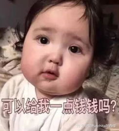 宋民国的表情包应该和谁配成情头
