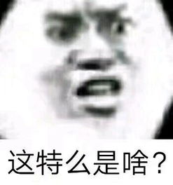 搞笑表情包对于我这种学渣太真实了